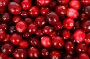 october-is-cranberry-month